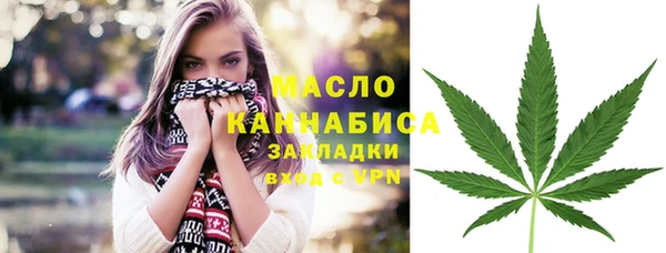 стаф Аркадак