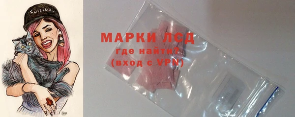 стаф Аркадак