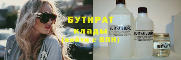 стаф Аркадак