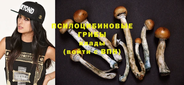 стаф Аркадак