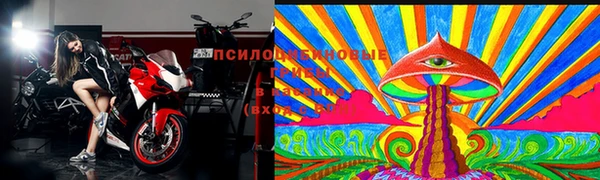 молекула духа Сафоново