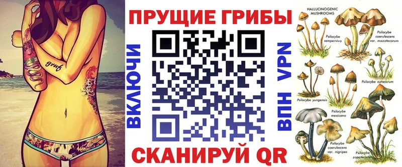 Псилоцибиновые грибы Cubensis Белокуриха